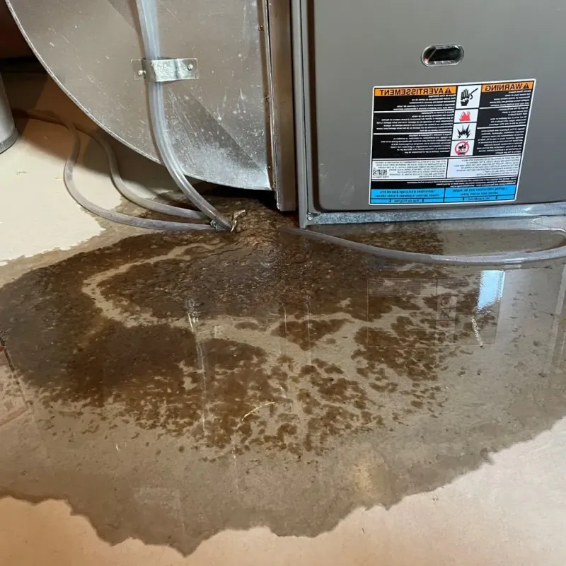 Pipe Burst and Leak Restoration in Prudenville, MI