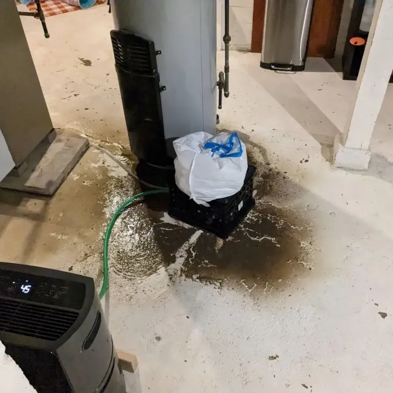Sewage Backup Cleanup Service in Prudenville, MI